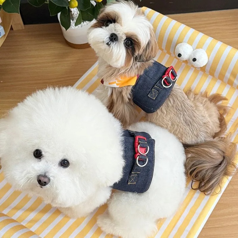 Vestiti per cuccioli in denim  - Summer Clothing Release recensione e prezzo